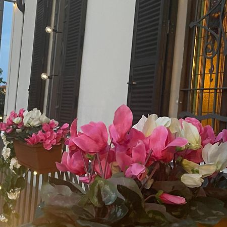 Villa Simona Malpensa Gallarate Exteriör bild